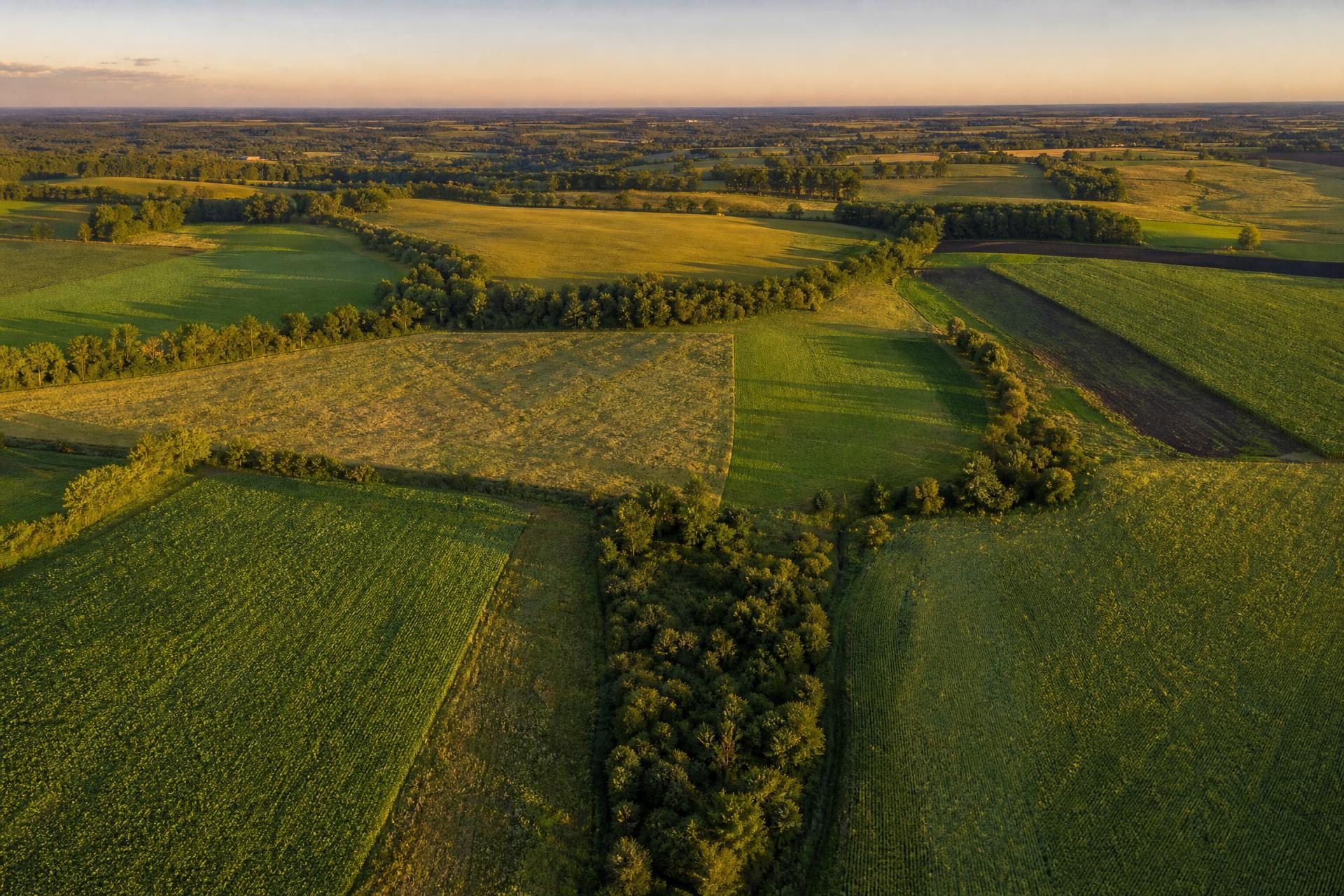 Agriculture régénérative