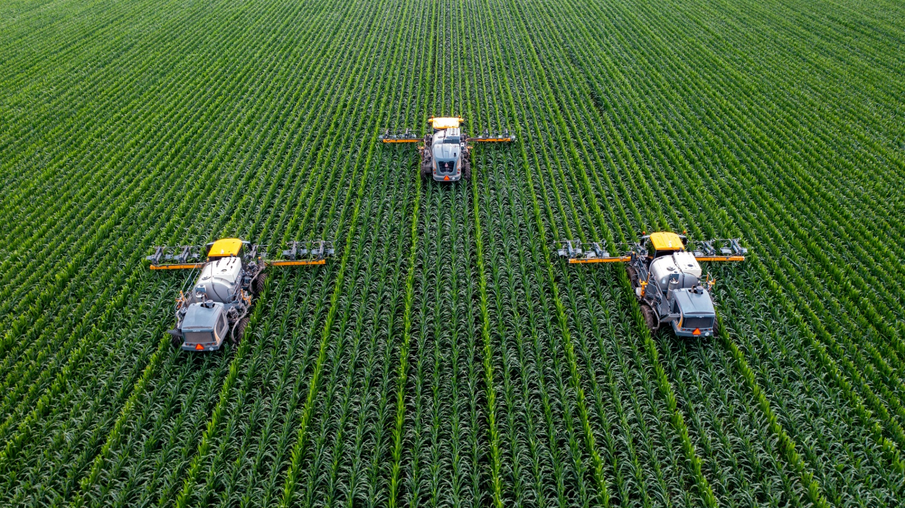Monoculture intensive